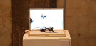 21 Koichiro Mori
