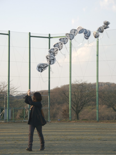 解剖学 in the sky 